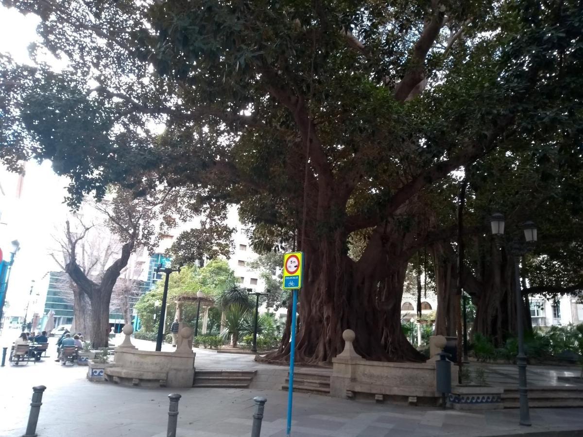 La Estrella De Alicante Exterior foto